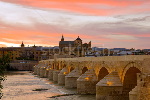 cathedral and roman bridge, Cordoba, Spain Stock photo © neirfy