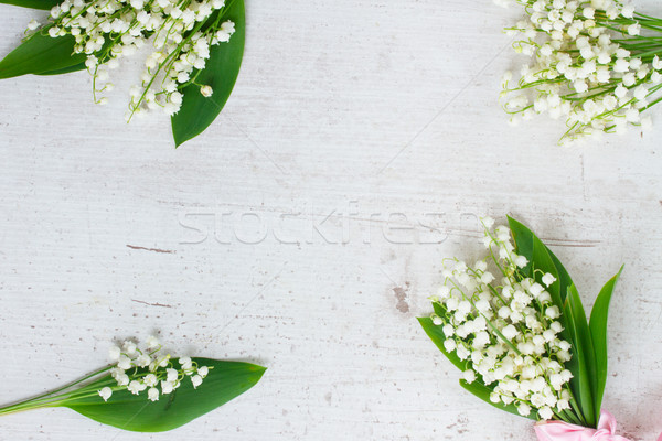 Foto stock: Vale · flores · folhas · verdes · quadro · branco