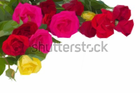 Stock photo: bougainvillea flowers frame