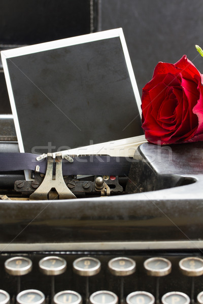 Rote Rose Schreibmaschine ein Jahrgang Hintergrund Stock foto © neirfy