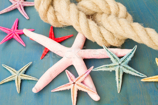 marine rope with starfish Stock photo © neirfy