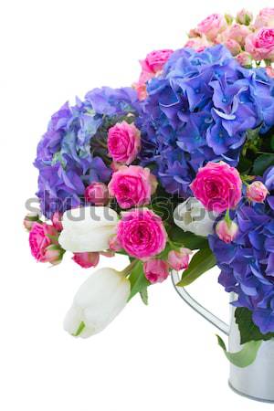 Rózsaszín rózsa virágok kerti eszközök locsolókanna izolált fehér Stock fotó © neirfy