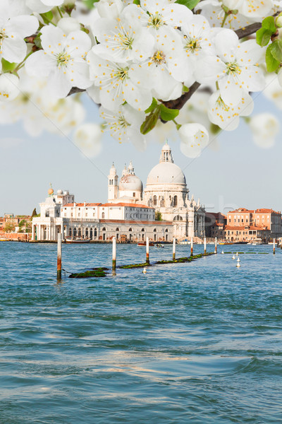 Bazilica Venetia Italia canal apă Imagine de stoc © neirfy