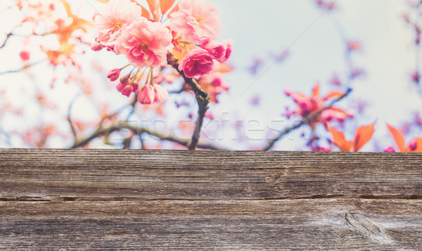 Kirsche Baum Blüte Frühling blauer Himmel Holztisch Stock foto © neirfy