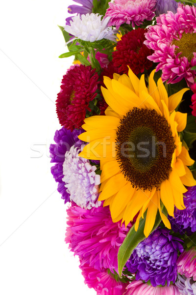 autumn flowers Stock photo © neirfy
