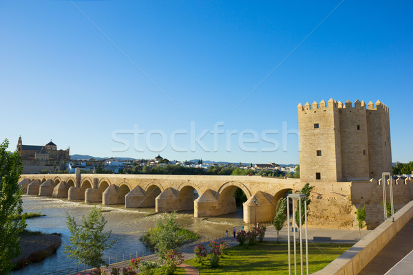 classic vew of Cordoba, Spain Stock photo © neirfy