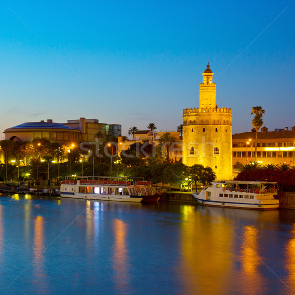 cityscape of Seville at night, Spain Stock photo © neirfy
