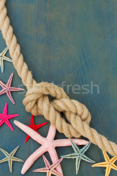 marine rope with starfish Stock photo © neirfy