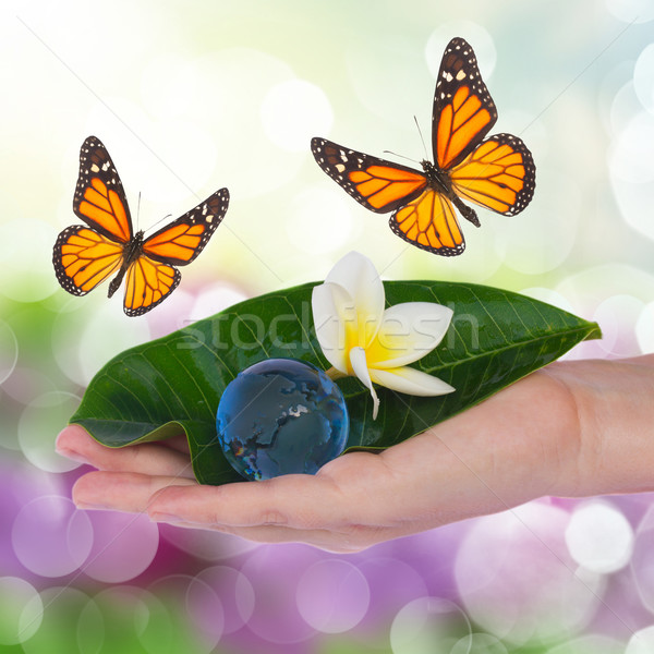 Kéz tart zöld levél Föld pillangók ökológia Stock fotó © neirfy