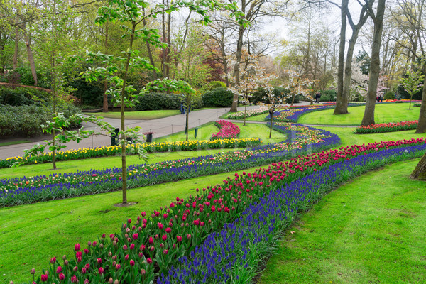 Formal spring garden Stock photo © neirfy