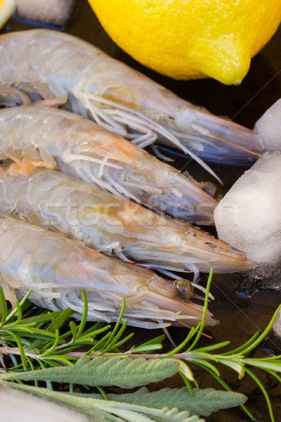 row of raw prawns Stock photo © neirfy