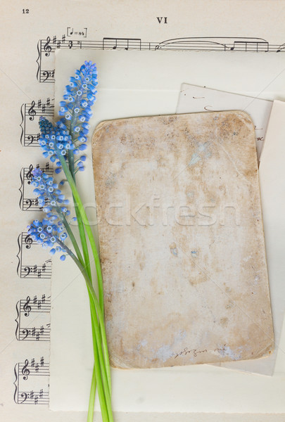 Muscari flowers and paper note Stock photo © neirfy