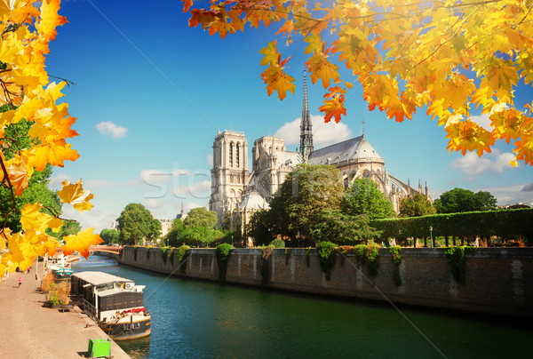 巴黎聖母院大教堂 巴黎 法國 河 下降 天 商業照片 © neirfy