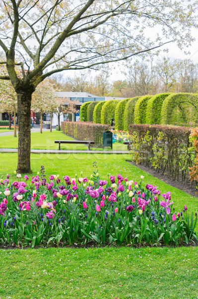 Formal spring garden Stock photo © neirfy