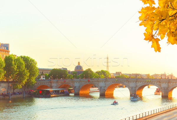 Pont des Arts, Paris, France Stock photo © neirfy
