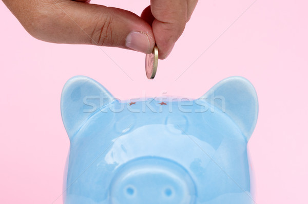 Piggy bank, savings concept Stock photo © neirfy