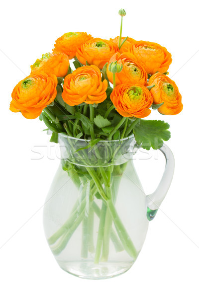 orange ranunculus flowers  in vase Stock photo © neirfy
