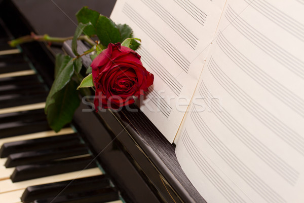 open  notes paper on piano Stock photo © neirfy