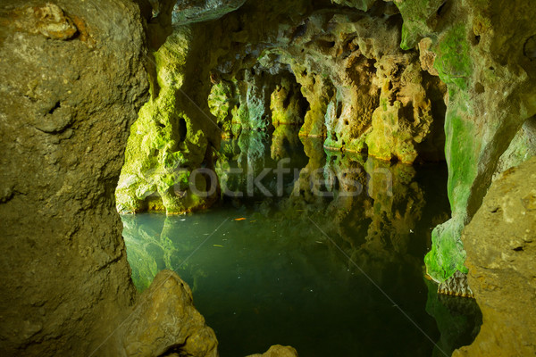 Portugal mooie details tuin kunst groene Stockfoto © neirfy