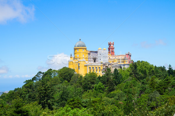 Palacio Pena, Sintra, Portugal Stock photo © neirfy