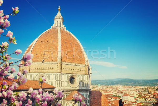 cathedral  Santa Maria del Fiore, Florence, Italy Stock photo © neirfy