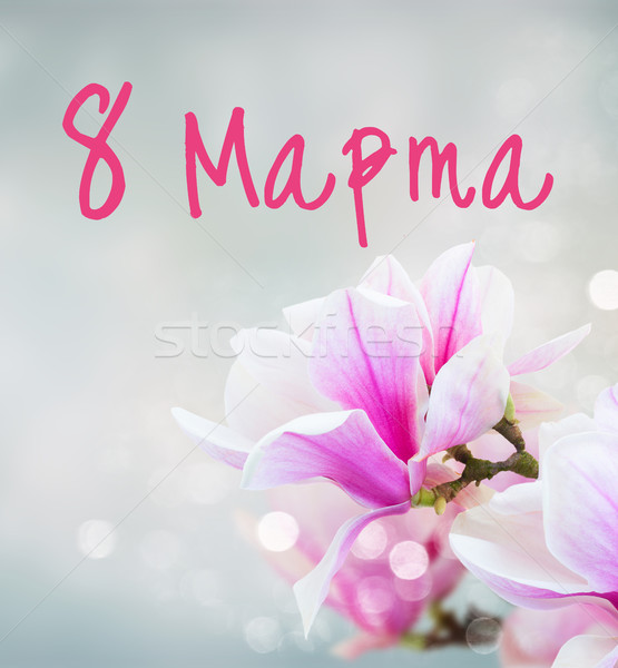 Imagine de stoc: Roz · magnolie · flori · crenguta · proaspăt