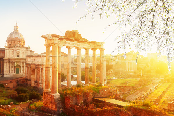 Forum romaine ruines Rome Italie cityscape Photo stock © neirfy