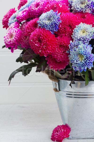 Düşmek krizantem çiçekler buket pembe mavi Stok fotoğraf © neirfy