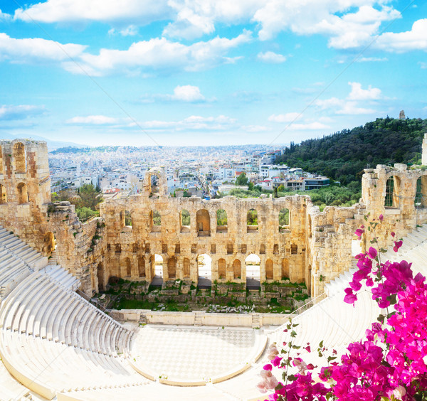 Amphitheater Akropolis Athen Tasse Griechenland Blumen Stock foto © neirfy