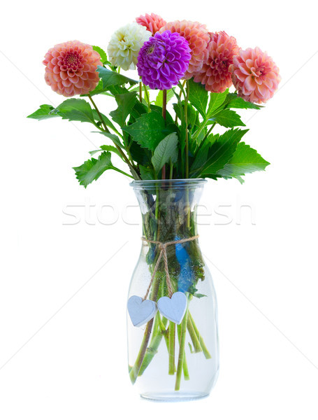 Stock photo: Dahlia flowers bouquet