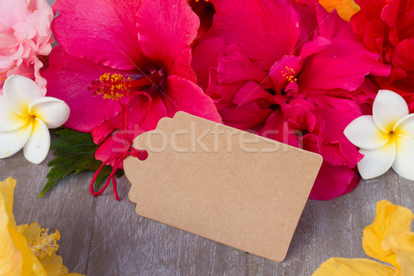 colorful hibiscus flowers with tag Stock photo © neirfy