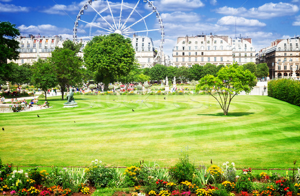 Tuileries garden, Paris Stock photo © neirfy