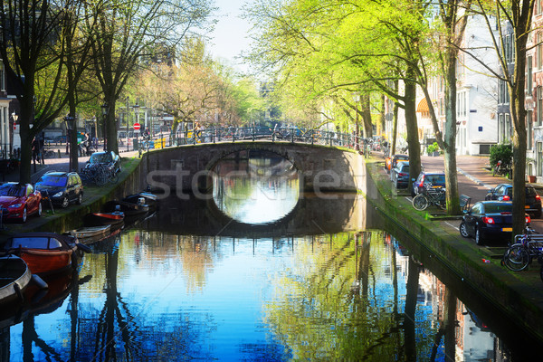 橋 阿姆斯特丹 荷蘭 樹 鏡子 商業照片 © neirfy