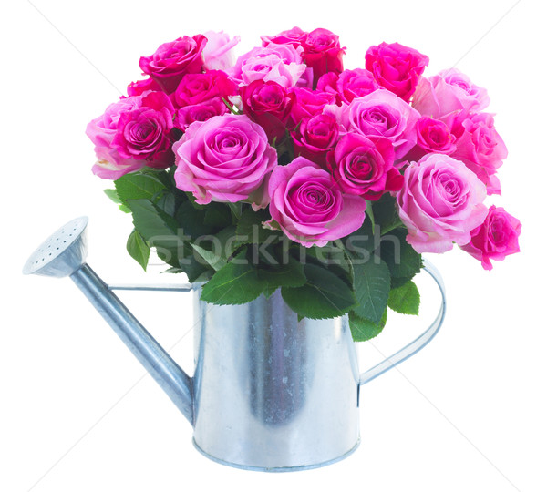 花束 新鮮 粉紅色 玫瑰 品紅 噴壺 商業照片 © neirfy