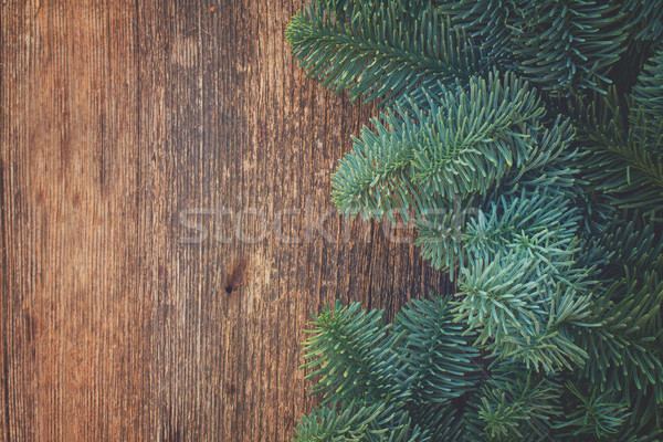 Weihnachten frischen immergrün Baum Niederlassungen Holz Stock foto © neirfy
