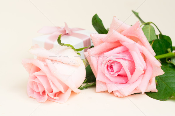 Roz trandafiri lemn doua cutie cadou Imagine de stoc © neirfy