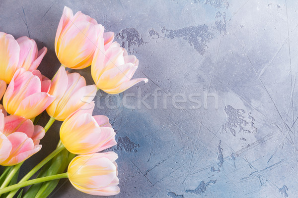 Roze Geel tulpen grijs steen exemplaar ruimte Stockfoto © neirfy