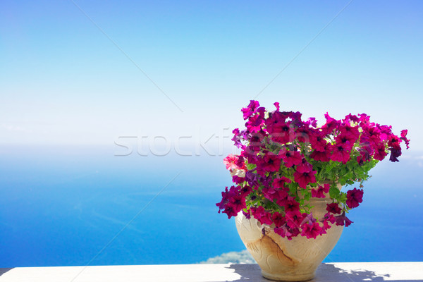 Eiland Italië bloemen pot zee mooie Stockfoto © neirfy