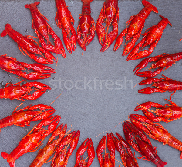 Crayfish Stock photo © neirfy