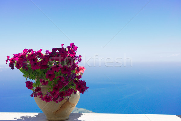 Eiland Italië bloemen pot zee mooie Stockfoto © neirfy