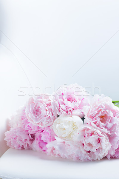 Rosa floral frischen Blumen Stuhl Stock foto © neirfy
