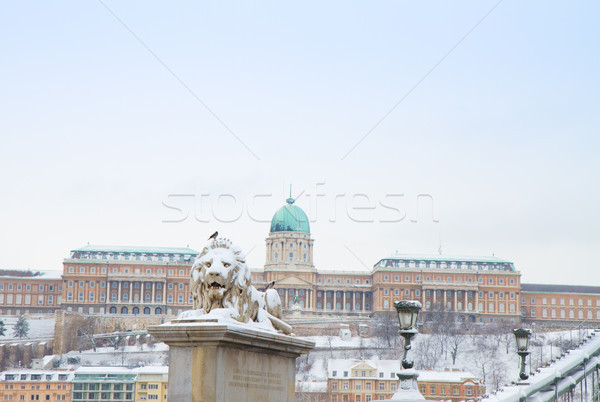 Royal palace , Hungary Stock photo © neirfy