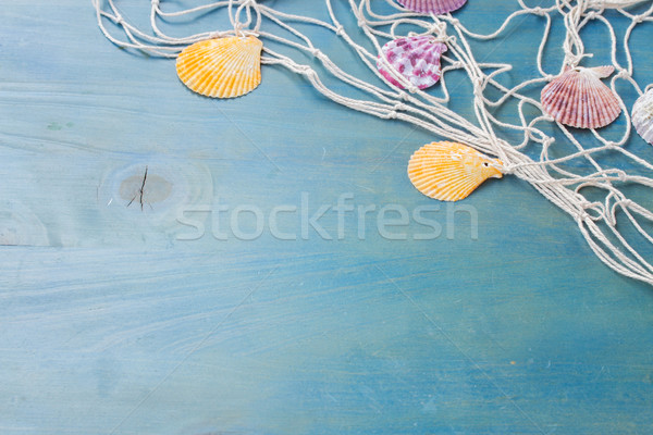 Visnet houten zee schelpen Blauw hout Stockfoto © neirfy