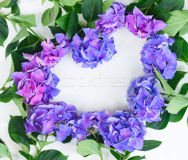 Stock foto: Blau · violett · Blumen · Herz · Rahmen · Muster