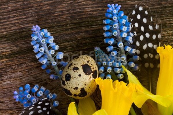 Muscari, daffodils and eggs Stock photo © neirfy