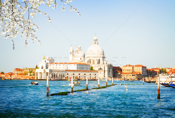 Basilica Santa Maria della Salute, Venice, Italy Stock photo © neirfy
