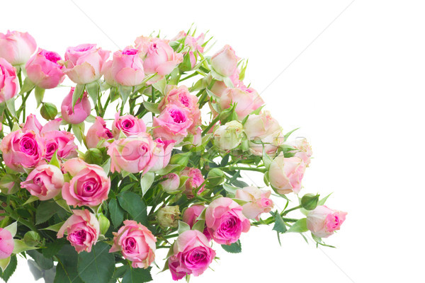 Bouquet of small pink roses Stock photo © neirfy