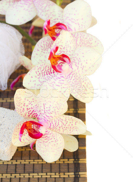 spa settings with pink orchideas flowers Stock photo © neirfy