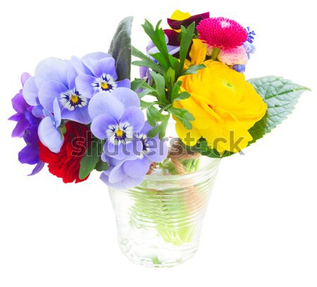 Stock photo: Posy of violets, pansies and ranunculus