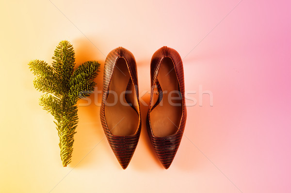 Stock fotó: Sarok · cipők · karácsony · buli · örökzöld · faág